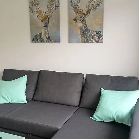 Piso Moderno Con Garaje En El Centro De Apartmán *